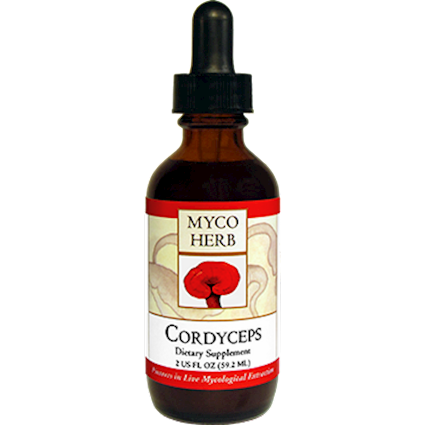 Cordyceps