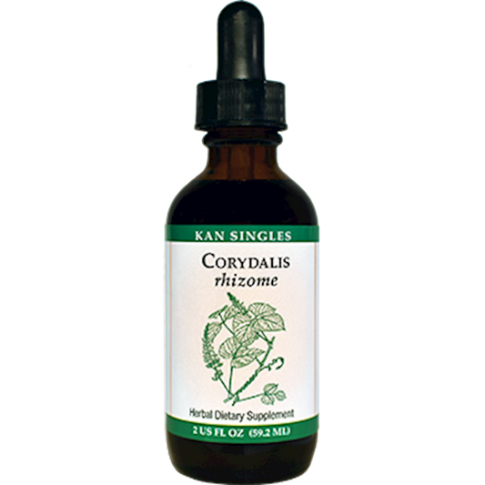 Corydalis rhizome